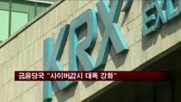 금융당국 "사이버감시 대폭 강화"
