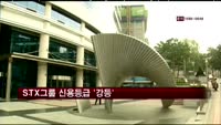 STX그룹 신용등급 '강등'