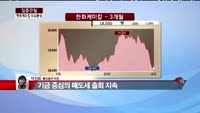 [집중관찰] 한화케미칼 (3) 이슈 분석  - 박진희 동양증권 차장