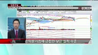 [집중관찰] 한화케미칼 (9) 특징분석 - 전희승 MBN골드 전문가, 권희수 KTB투자증권 압구정지점 연구원