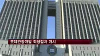 롯데관광개발 회생절차 개시