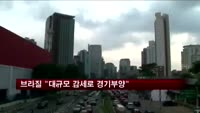 브라질 "대규모 감세로 경기부양"