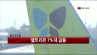 진에어, 중국 연길 부정기편 운항