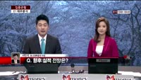 [집중관찰] E1 (5) 재무분석 - 서민석 하나대투증권 차장