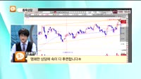 [종목상담] 잉크테크(049550)