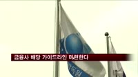금융당국, 금융지주 배당 가이드라인 마련한다