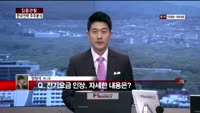 [집중관찰] 한국전력 (6) 주주분석 - 정영석 M머니 기자