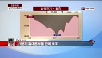 [집중관찰] 삼성전기 (6) 주주분석 - 장남식 M머니 기자