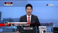 [집중관찰] 효성 (4) 주주분석 - 정영석 M머니 기자
