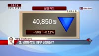 [집중관찰] 삼성카드 (5) 재무분석 - 박용필 하나대투증권 부장