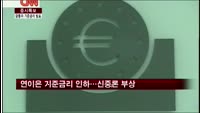 각국의 연이은 기준금리 인하…신중론 부상