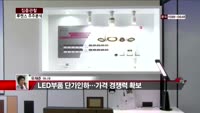 [집중관찰] 루멘스 (6) 주주분석 - 유재준 M머니 기자