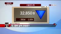 [집중관찰] 서울반도체 (5) 재무분석 - 서민석 하나대투증권 차장