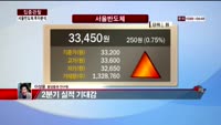 [집중관찰] 서울반도체 (8) 투자분석 - 이성웅 동양증권 연구원