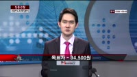[집중관찰] 서울반도체 (9) 특징분석 - 정진교 MBN골드 전문가, 박정민 동양증권 인천지점 연구원