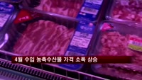 4월 수입 농축수산물 가격 소폭 상승