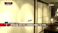 [집중관찰] 보루네오 (5) 재무분석 - 서민석 하나대투증권 차장