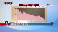 [집중관찰] 보루네오 (8) 투자분석 - 이성웅 동양증권 연구원