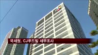 국세청, CJ푸드빌 세무조사