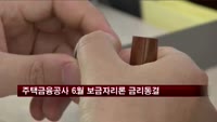 주택금융공사 6월 보금자리론 금리 동결