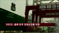 OECD, 올해 우리나라 경제성장률 하향 조정