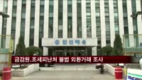 금감원, 조세피난처 불법 외환거래 전면 조사