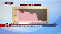 [집중관찰] CJ (3) 이슈 분석 - 박진희 동양증권 차장
