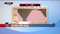 [집중관찰] CJ (8) 투자분석 - 이성웅 동양증권 연구원