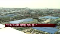 "엔·달러 환율 10%↑, 제조업 이익 4.8조↓"