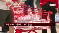 5월 소비자물가 1.0% 상승