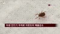 '야생 진드기' 우려로 아웃도어 매출 감소