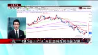 [집중관찰] CJ제일제당 (9) 특징분석 - 주병선, 김용환 MBN골드 전문가