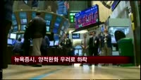 뉴욕증시, 양적완화 우려로 하락