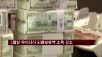5월말 우리나라 외환보유액 소폭 감소