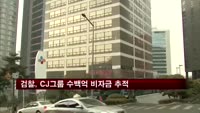 검찰, CJ그룹 6~7년간 조성한 수백억 비자금 추적