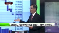 [이슈&전략] 코스피 1900도 위태
