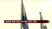 금감원, 은행 '외화 단기차입' 관리 강화