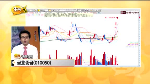 [종목상담] 금호종금(010050)