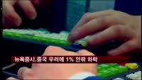 뉴욕증시, 중국 우려에 1% 안팎 하락