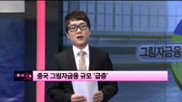 [이슈] 시장보는 女자