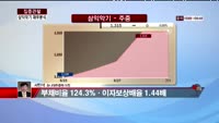 [집중관찰] 삼익악기 (6) 재무분석 - 서민석 하나대투증권 차장