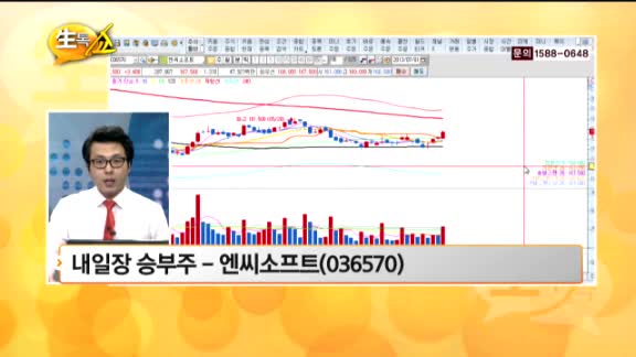 [관심종목] 엔씨소프트(036570)