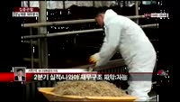 [집중관찰] 영남제분 (6) 재무분석 - 서민석 하나대투증권 차장