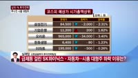 [상위 1% 투자전략] 시가총액 상위 대형주 하락 이유 분석 