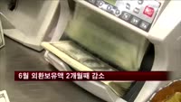 6월 외환보유액 2개월째 감소