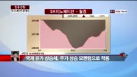 [집중관찰] SK이노베이션 (4) 재무분석 - 서민석 하나대투증권 차장