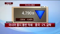 [집중관찰] 아시아나항공 (6) 재무분석 - 서민석 하나대투증권 차장