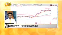 [관심종목] 무림P&P(009580)