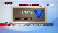 [집중관찰] 금호산업 (5) 주주분석 - 최은진 M머니 기자