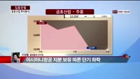 [집중관찰] 금호산업 (8) 투자분석 - 이성웅 동양증권 동양증권 연구원
